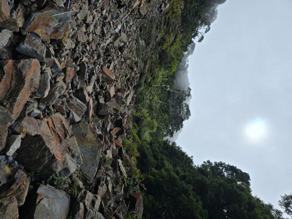 20240913 東霸尖山出北稜_2614367