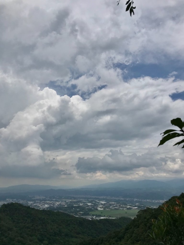 大坑4號頭嵙山封面圖