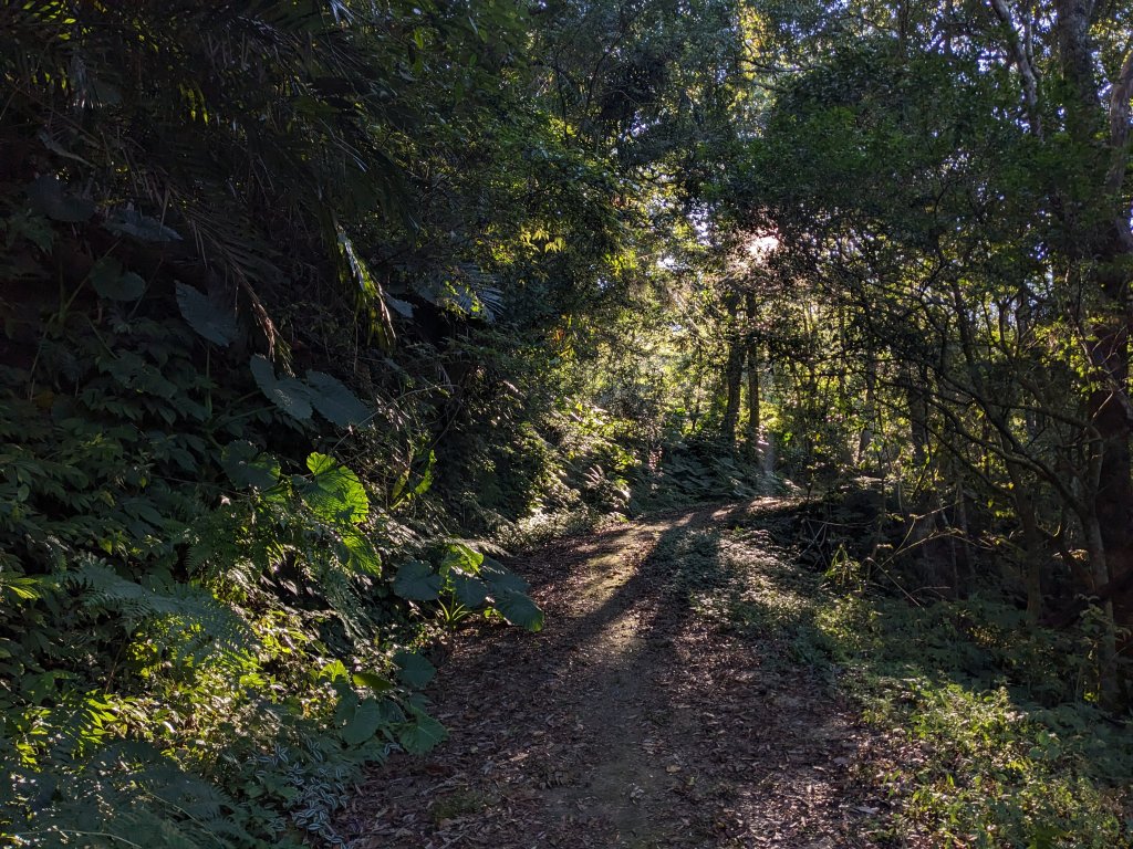 貴妃山那結山外鳥嘴山_2630833
