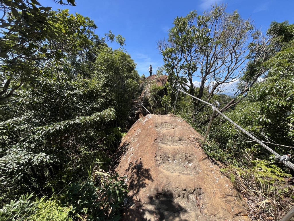 [微笑山線_第九段] 2025_0914 二格山系_皇帝殿西峰_2889649