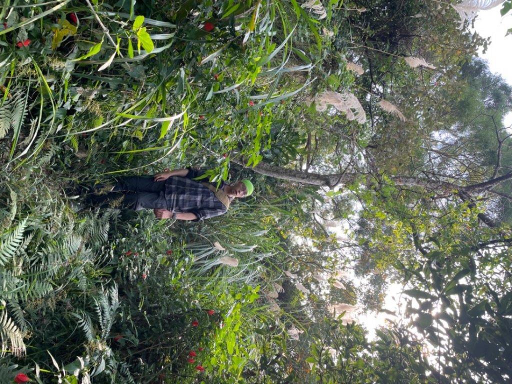 蟾蜍山-芳蘭山-中埔山-福州山_1995126