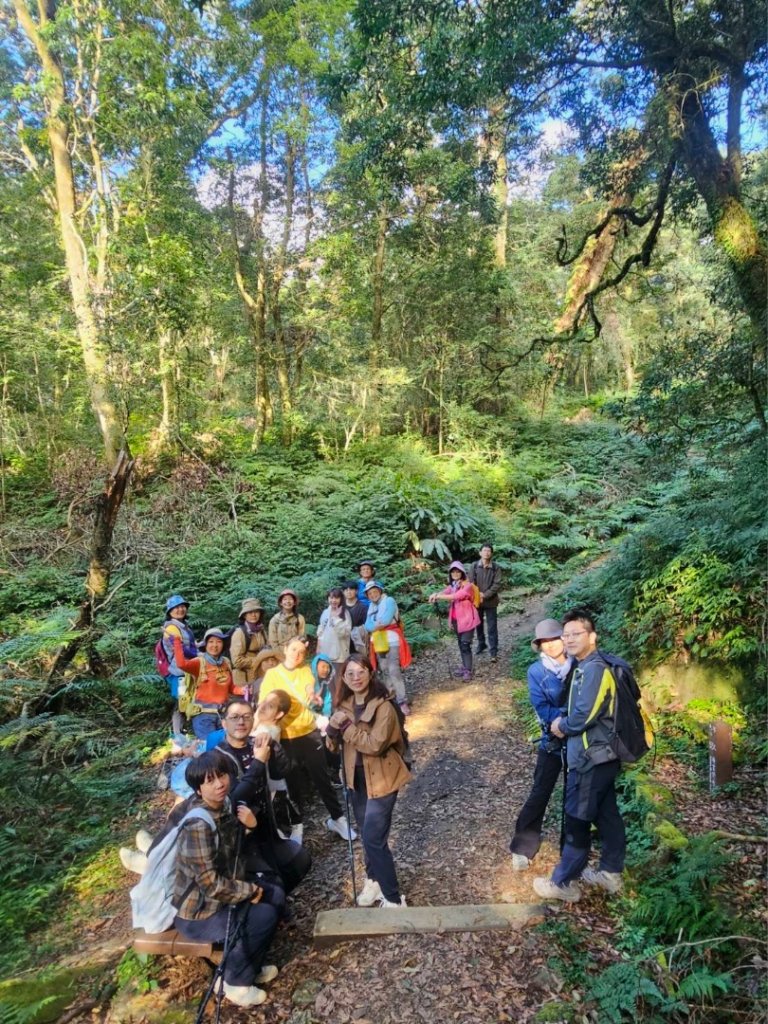 1141122特富野古道_2945797