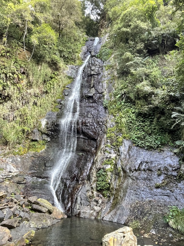 聖母登山步道（抹茶山）_2458318