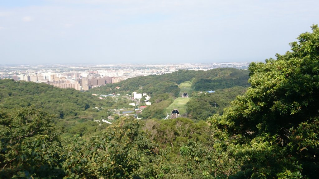 羊稠森林步道_420869