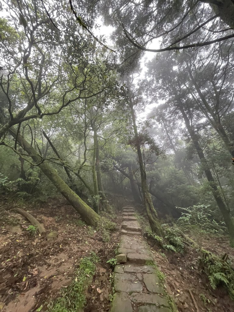 台北大縱走3_2769676