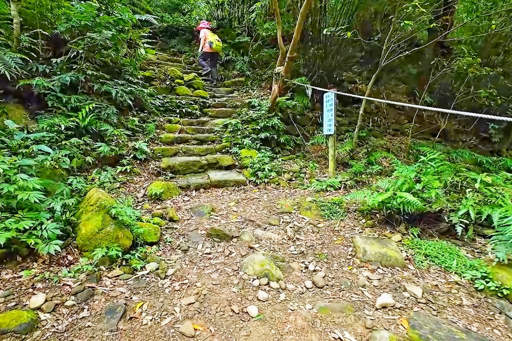 淡蘭古道中路百年山徑~暖東峽谷大環步道_2846401