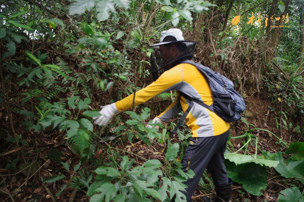 樟之細路 | 09/22砍草任務_686563