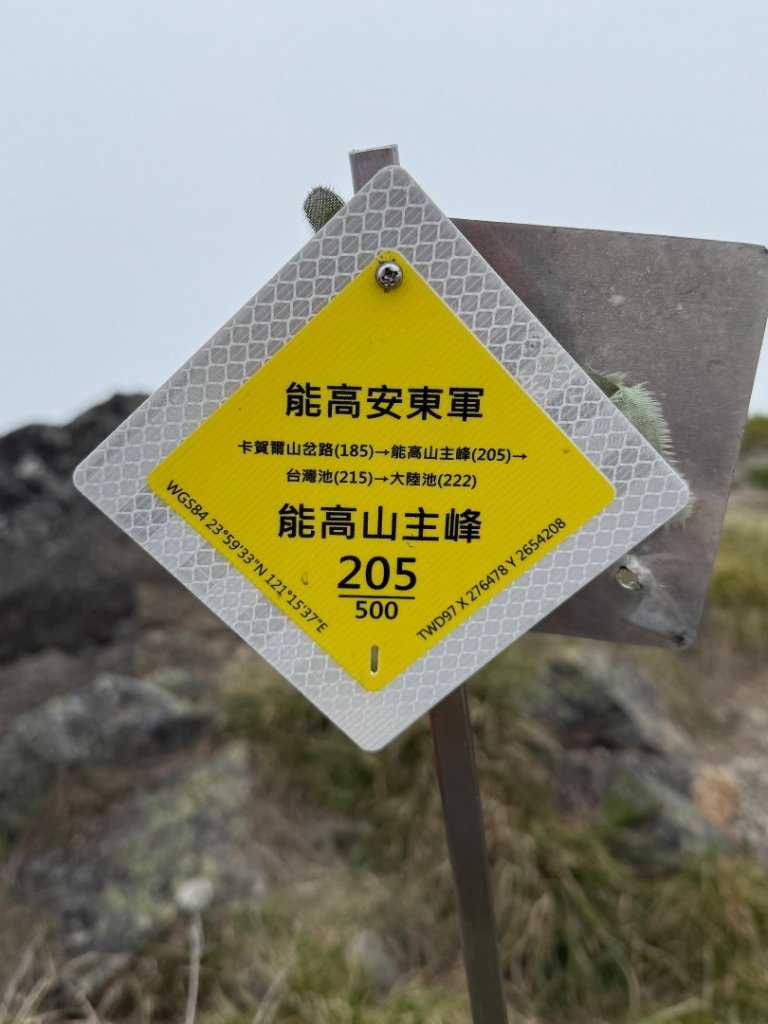 能高安東軍 被水鹿包圍的奇幻冒險旅程_2811145