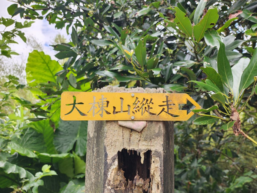 小百岳No.15⛰大棟山(龜崙山)_2849780