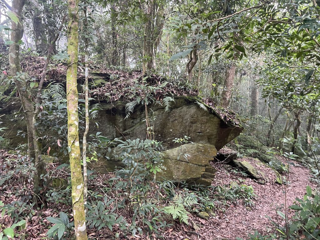 [屏步青雲 尋寶任務-02/10] 2024_0916 尾寮山登山步道_2597401