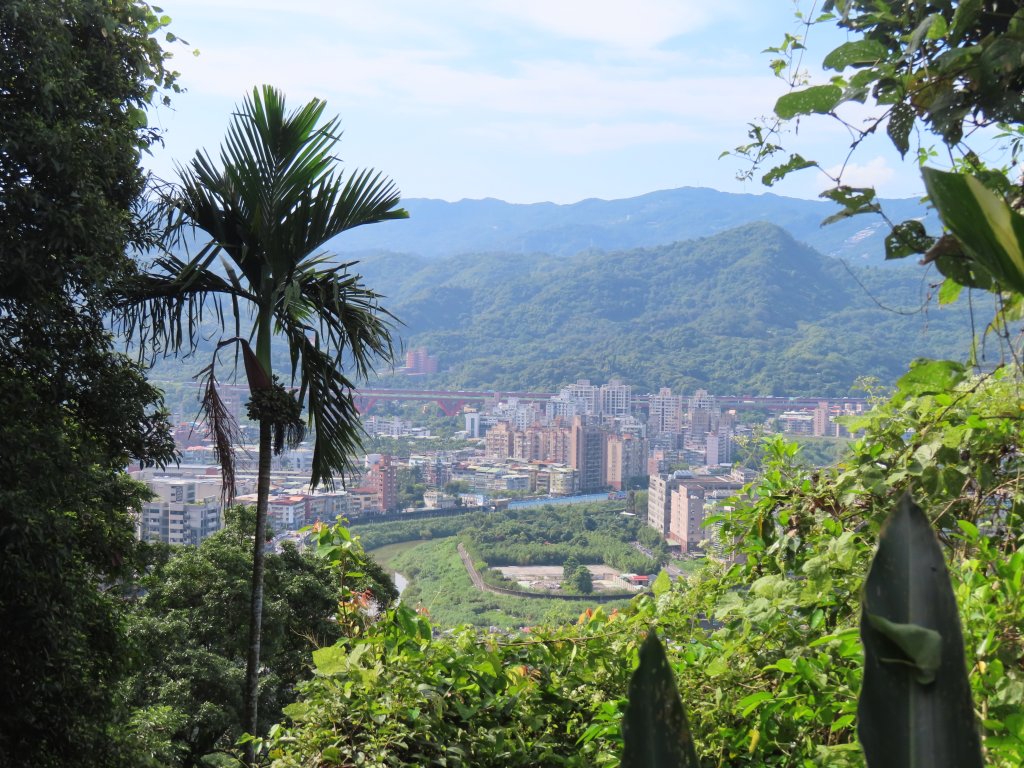仙跡岩小O_酷暑中晨間快走_2537304