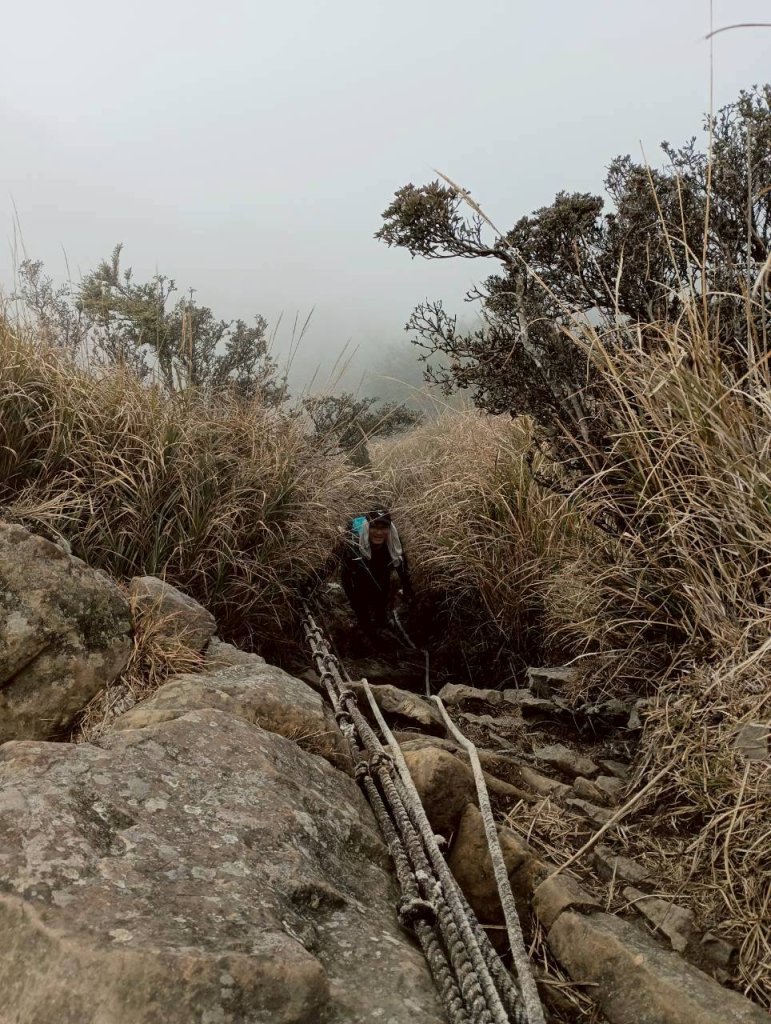 哈加縱走_2991952