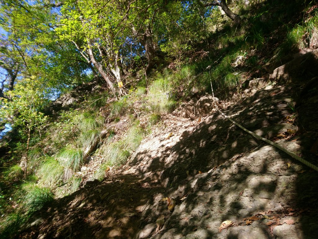 虎山 由易到難 漸進式 健身步道_855751