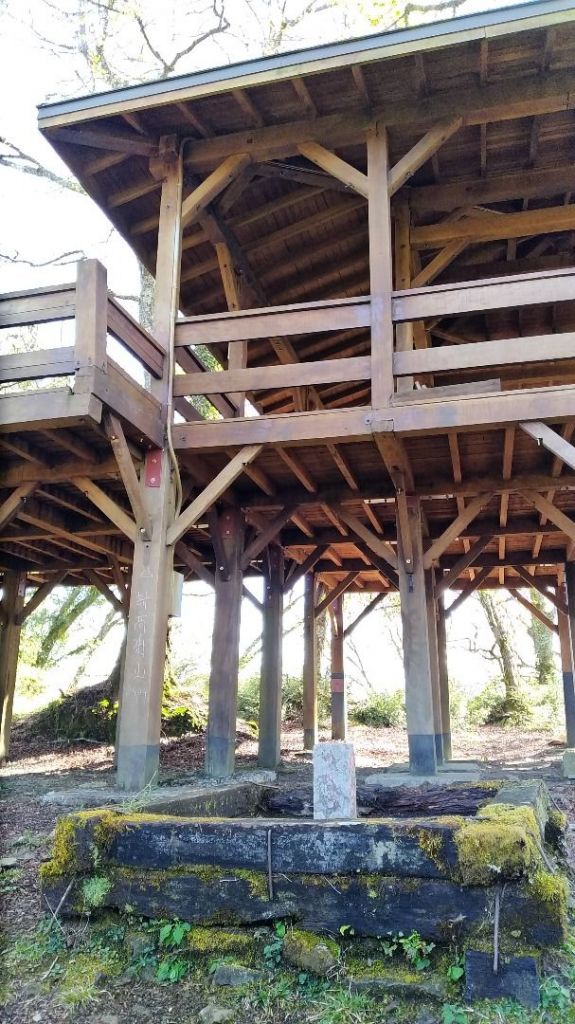 阿里山五奇_306235