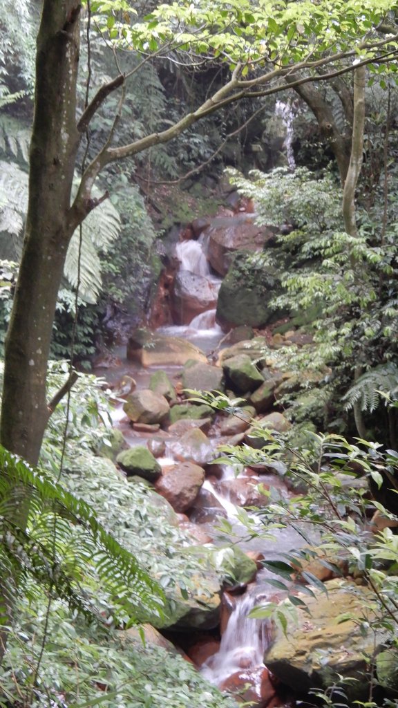 絹絲瀑布-冷擎步道-竹篙嶺古道O型_1332001