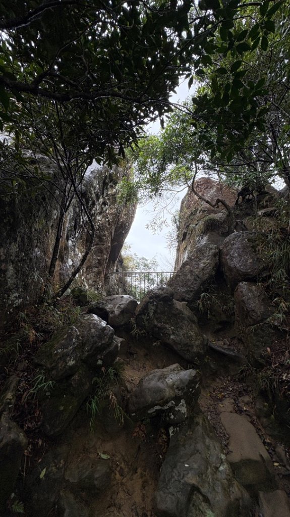 迎新（2026元旦_2975561