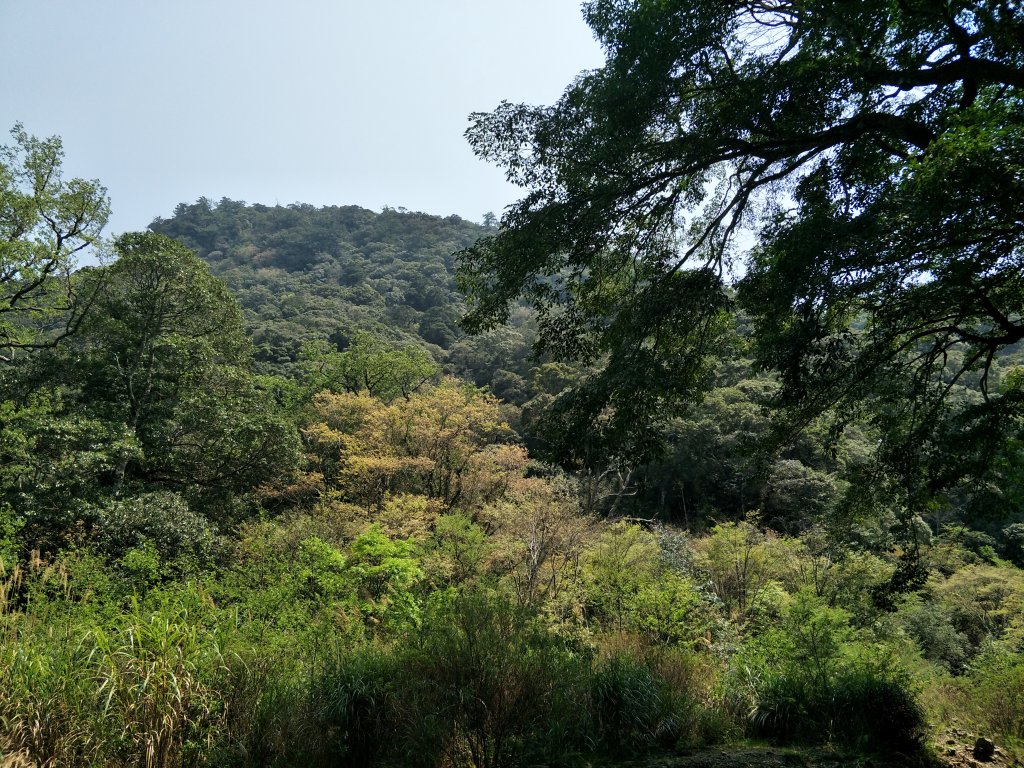 2019 03 28 哈加縱走_554039