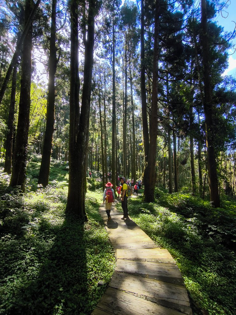 2025-09-14 奮起湖_2887398