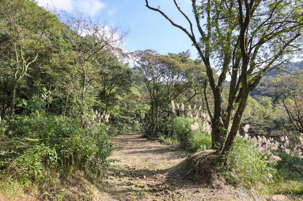 [台北天際線]姜子寮絕壁、姜子寮山、旗尾崙山_1966521