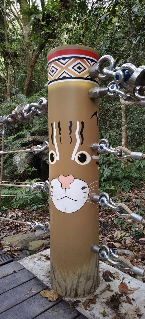 2026/01/01_雪山坑環線步道O型_2978093