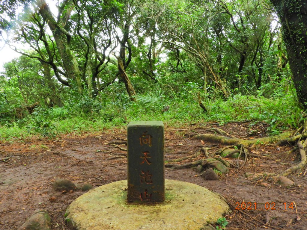 臺北 北投 向天池山、山仔頂古道封面圖