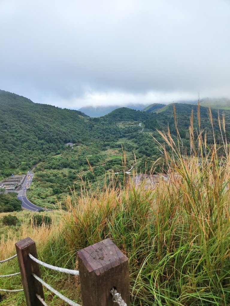 苗圃上七星下冷水坑_2647489