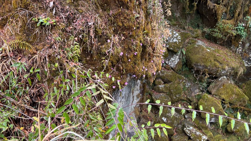 2023尋訪消失的眠月線聚焦失落沉寂的百年鐵道之旅_2110695