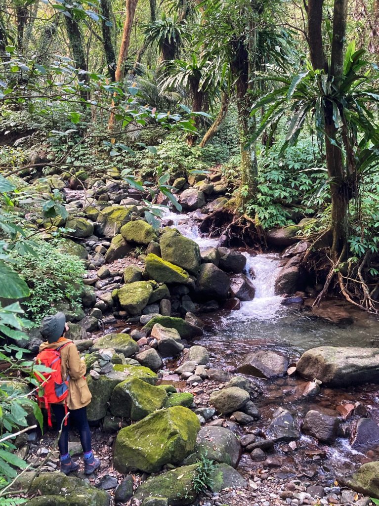 陽明山神秘綠境 • 鹿角坑保護區_2038616