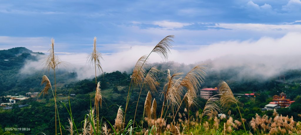 石碇趴趴走追雲趣 #琉璃光 #雲海 #雲瀑 12/19_2965324