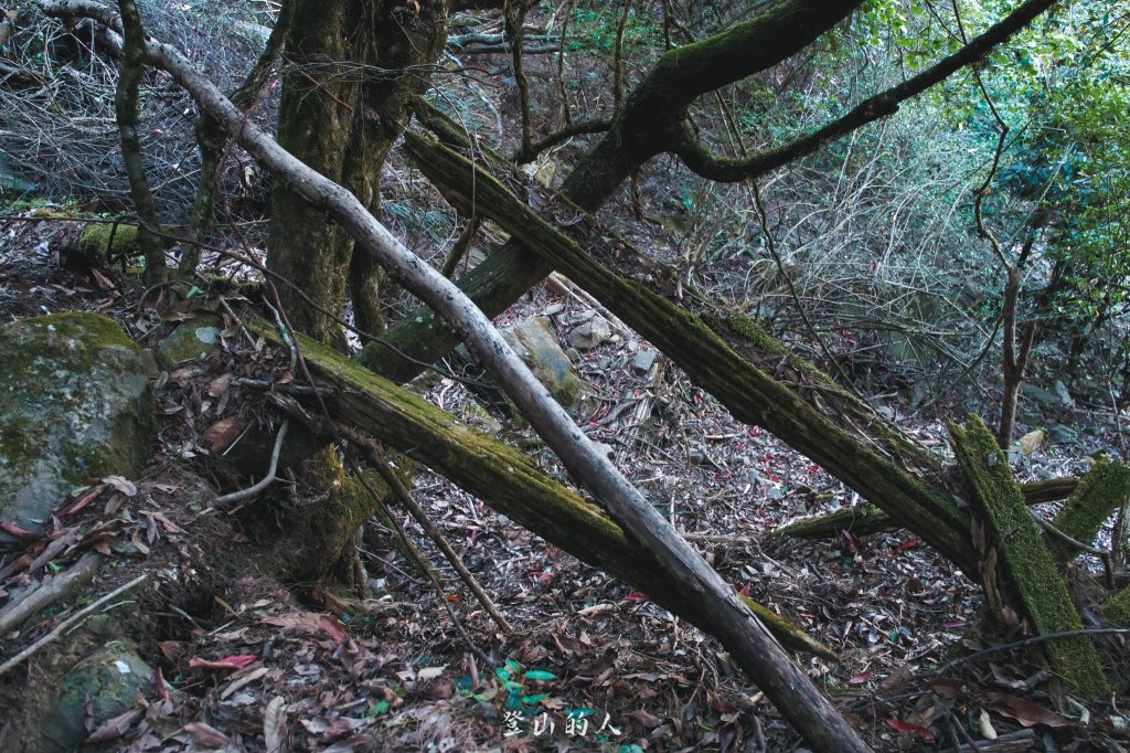 霞山鐵道野營_2843071
