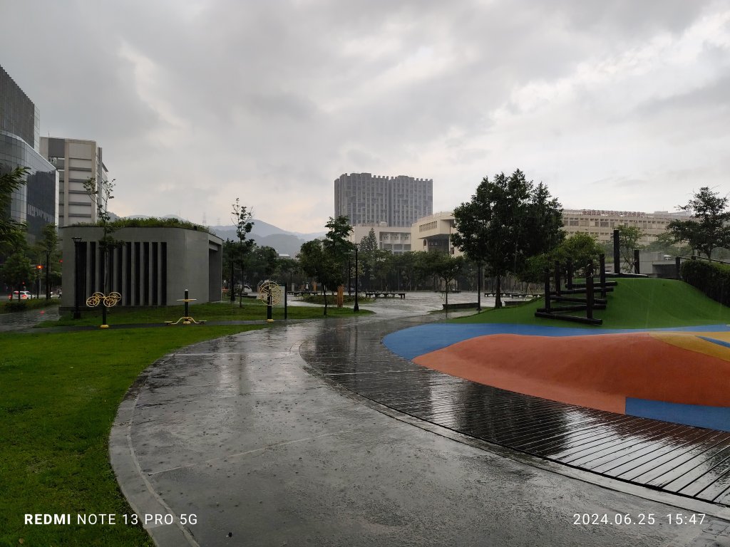 大安森林公園【走路趣尋寶】；大港墘公園、瑞陽公園【臺北健走趣】_2535140