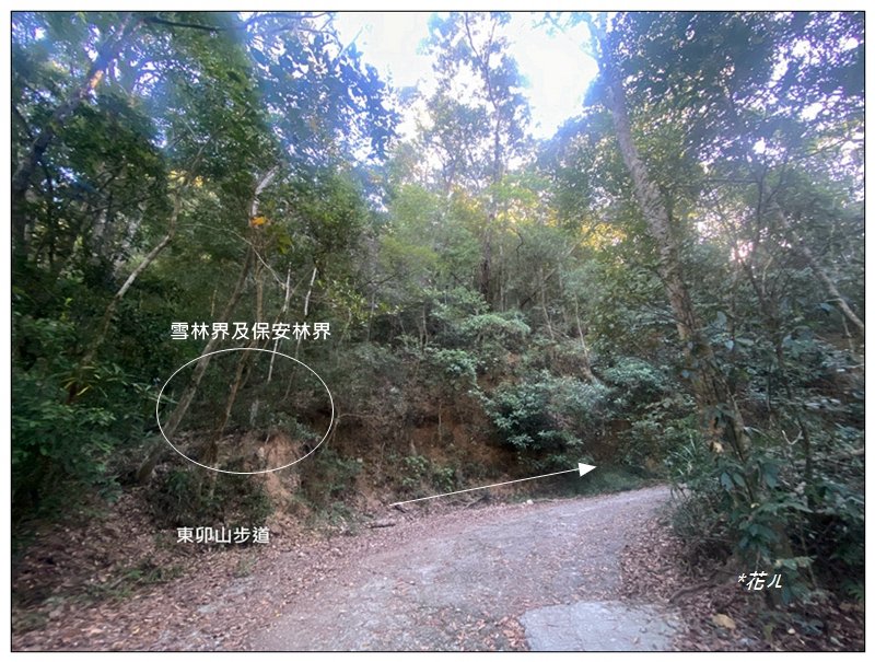 東卯山、東卯山西峰、東卯山西南峰 連走_2932778