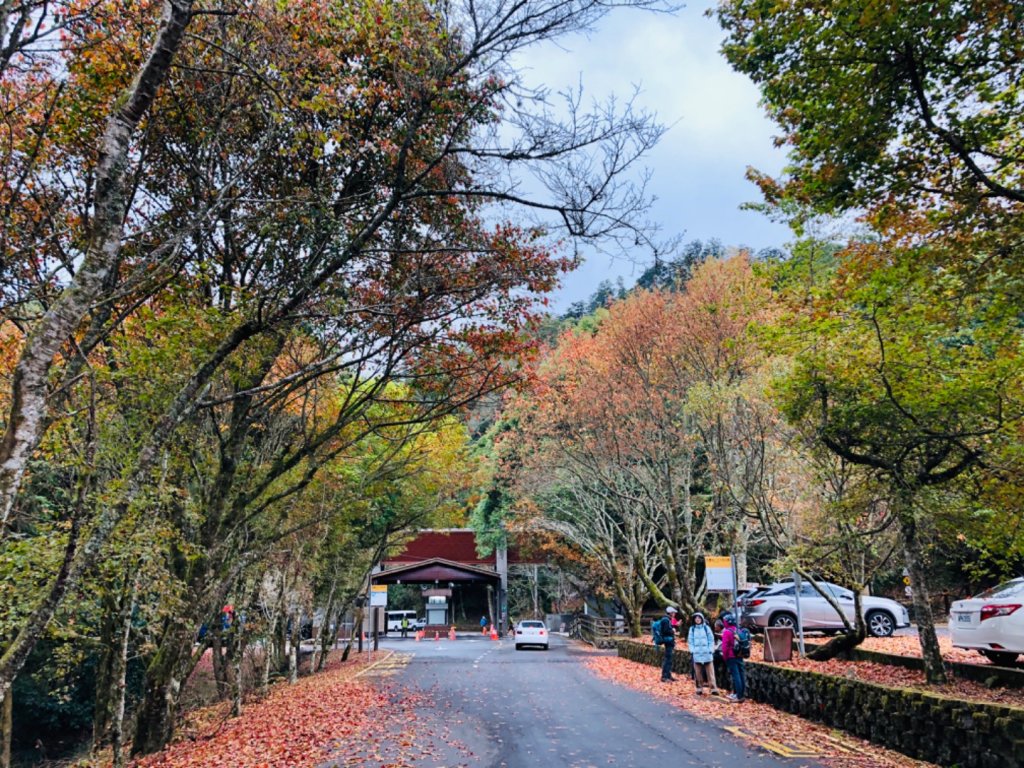 1081221稍來小雪山步道封面圖