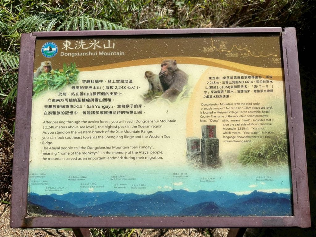 20251014雪見遊憩區 🚴‍♂️咖搭車走司馬限林道上東洗水山兩刷北坑山至大板根封面圖