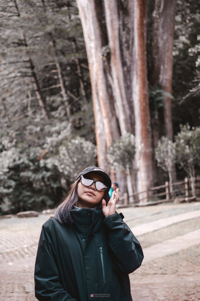 大雪山賞楓景點_2691515