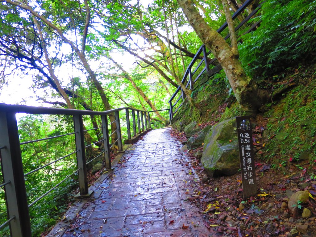 享受楓紅森林浴：東滿步道_747477