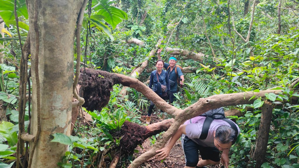 蘭嶼紅頭山_2492880