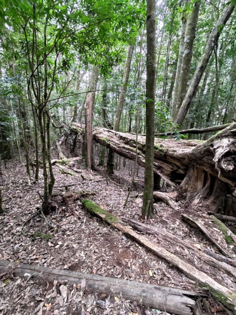 霞喀羅古道_1574793