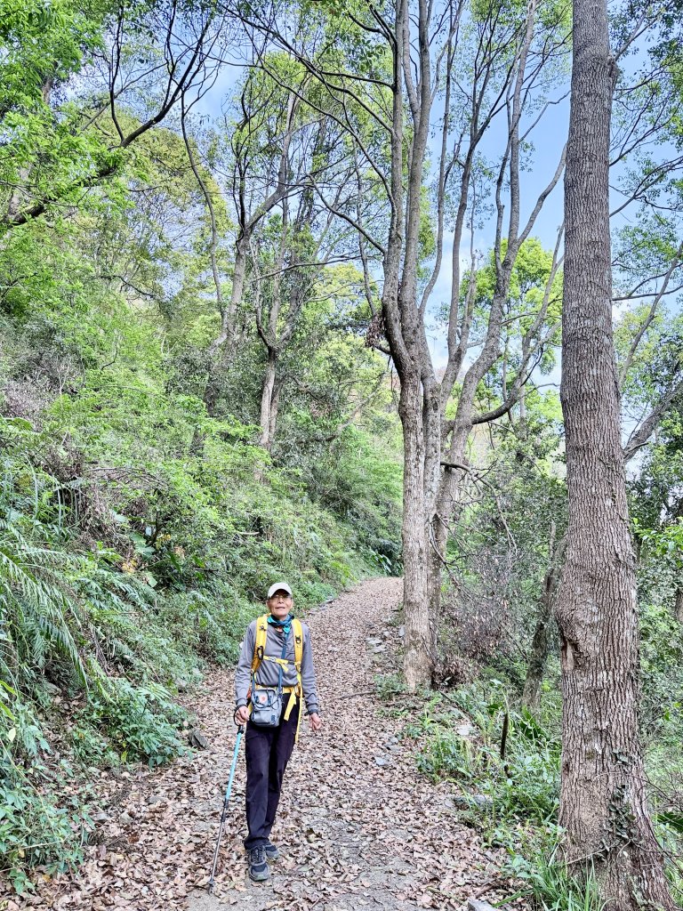 完登新南橫三星-馬馬宇頓山   2026.3.27_3027521