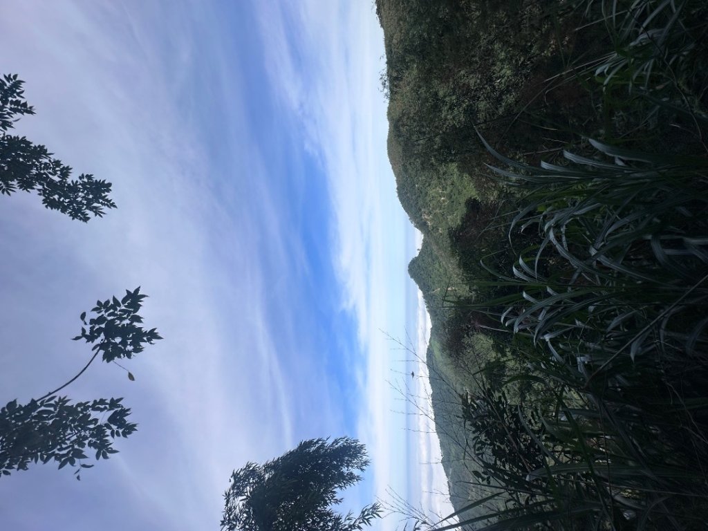 061嘉義竹崎-大湖尖山_2634091