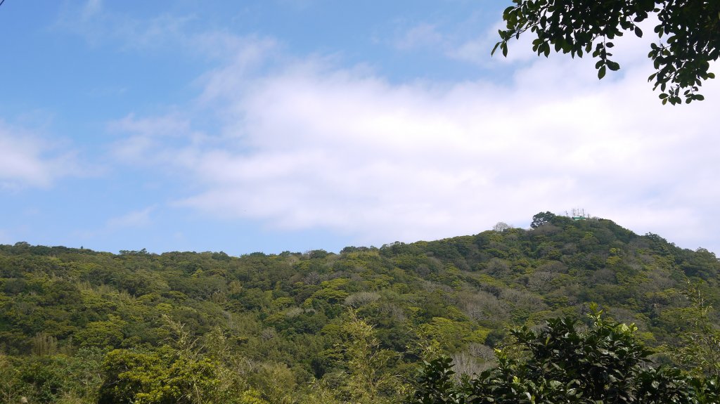 觀音山登山健行趣(小百岳05號)_1632342