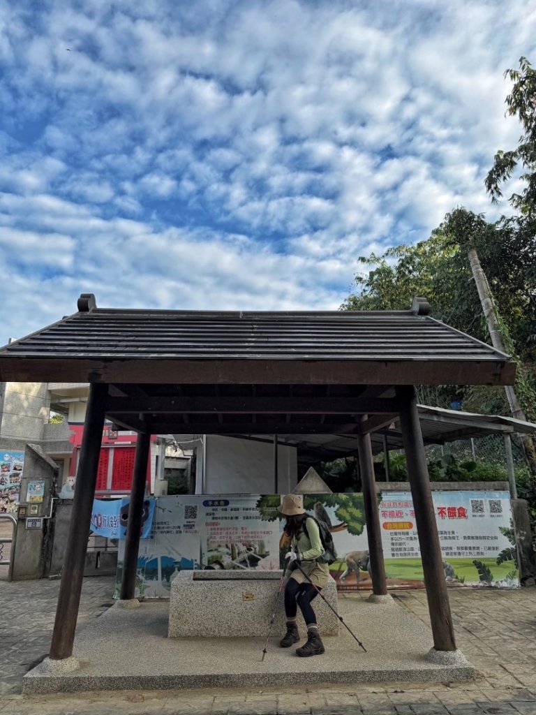 龍過脈森林步道_2960966