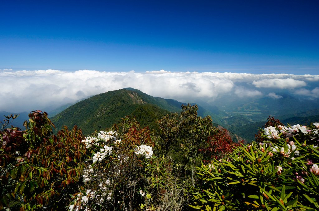 鳶嘴山捎來山步道_570412