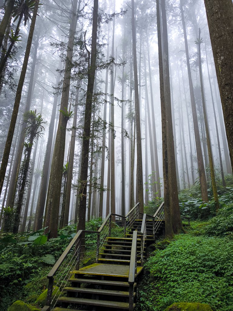 2025-09-14 奮起湖封面圖