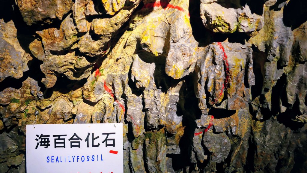 地心年輪之飛驒大鐘乳石洞_2982419