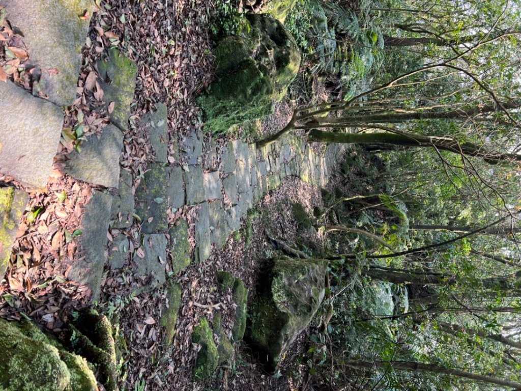 走遍陽明山尋寶任務/環陽明山人車分道陽金、小油坑、冷水坑、中山樓_2071135