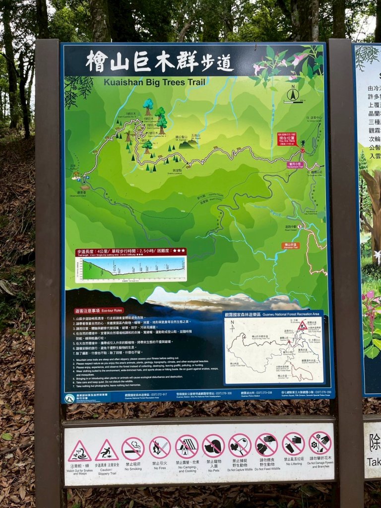 新竹 五峰 觀霧國家森林遊樂區 蜜月小徑+檜山巨木群步道_2811451