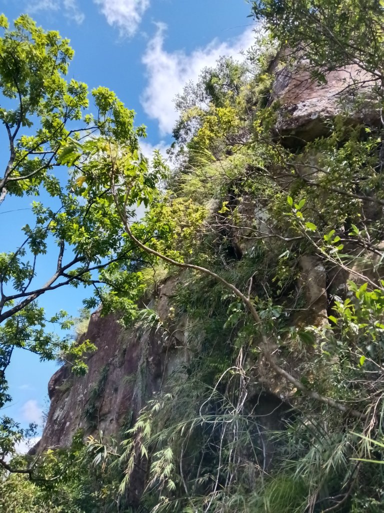平溪區南山坪蝙蝠洞(濕洞)+平湖山+平湖尖+蝙蝠洞(乾洞)O型_2833920