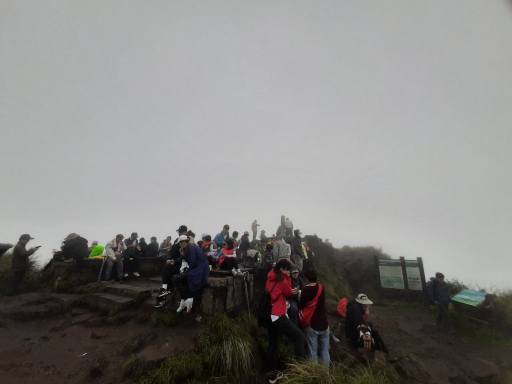 古道探訪｜七星山主東峰苗圃線_1567619