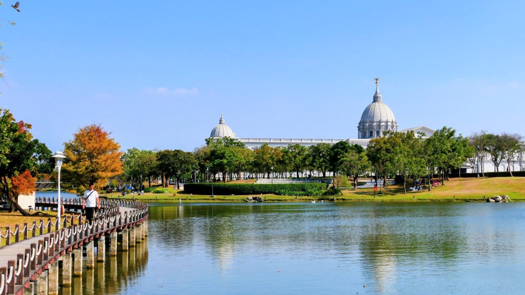 琴弦上的白宮封面圖